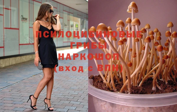 герыч Алексин