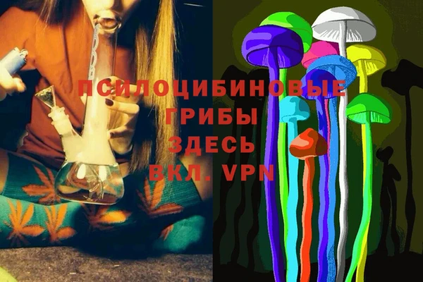 герыч Алексин