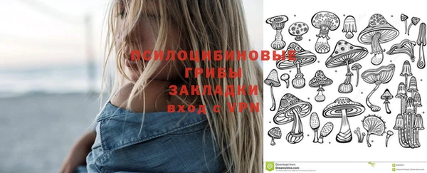 прущая мука Алексеевка